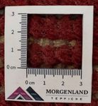 Tappeto Nepal - 140 x 70 cm - marrone