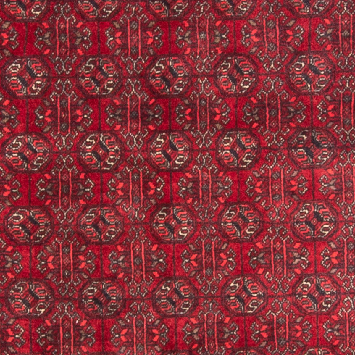 Tappeto afgano - Bukhara - 196 x 124 cm - rosso