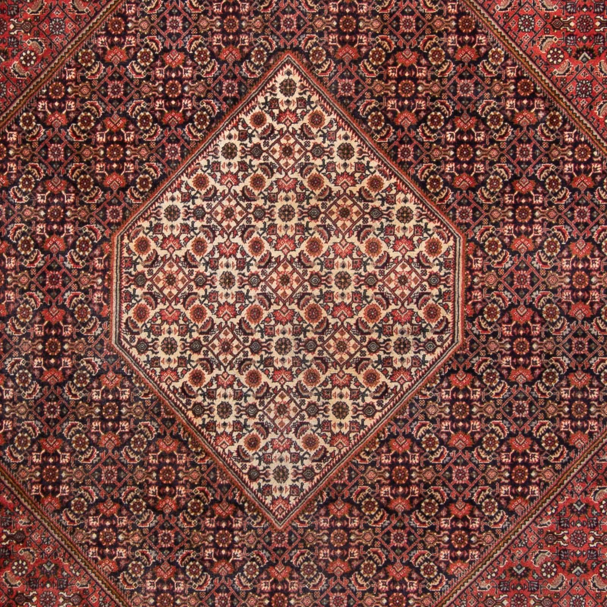 Tappeto Persero - Bidjar - 350 x 250 cm - rosso