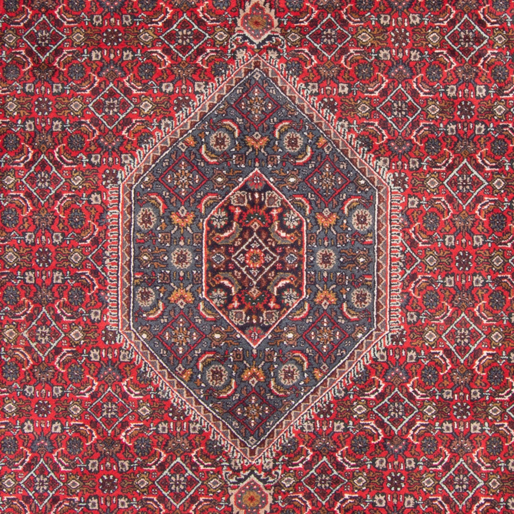 Tappeto orientale - Bidjar - Indo - 338 x 251 cm - rosso