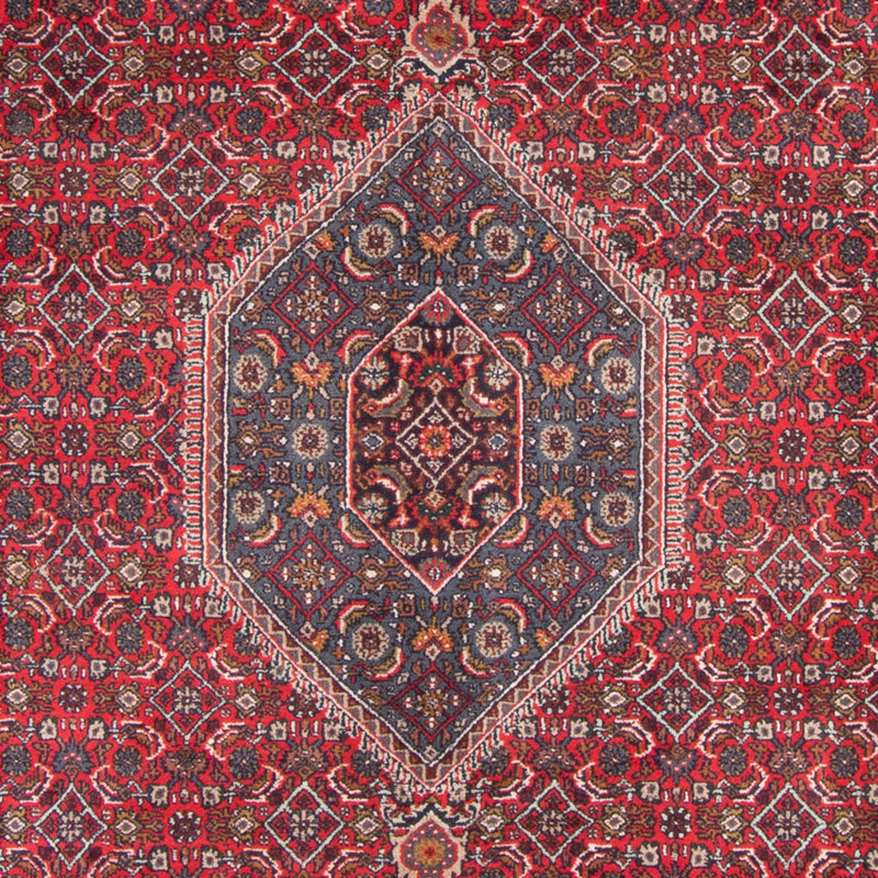 Tappeto orientale - Bidjar - Indo - 338 x 251 cm - rosso