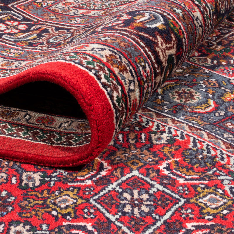 Tappeto orientale - Bidjar - Indo - 338 x 251 cm - rosso