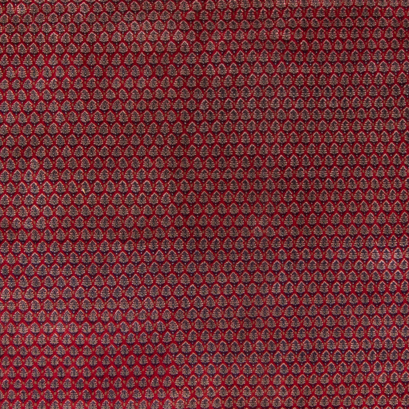 Tappeto orientale - Mir - Indus - Reale - 335 x 249 cm - rosso