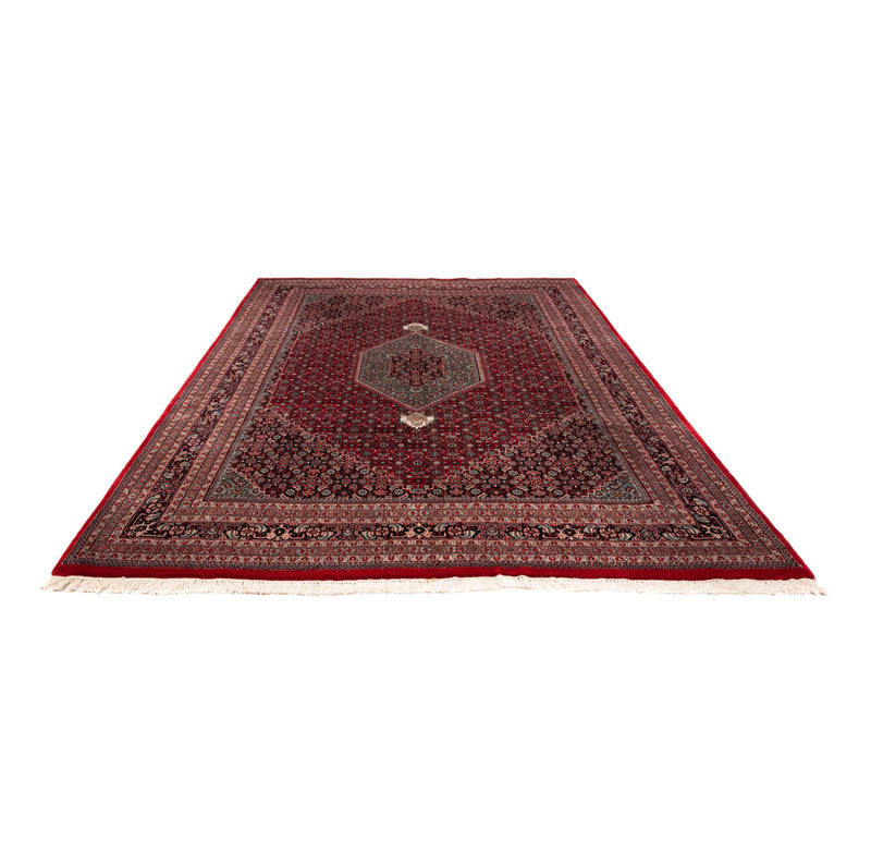 Tappeto orientale - Bidjar - Indo - Reale - 348 x 252 cm - rosso