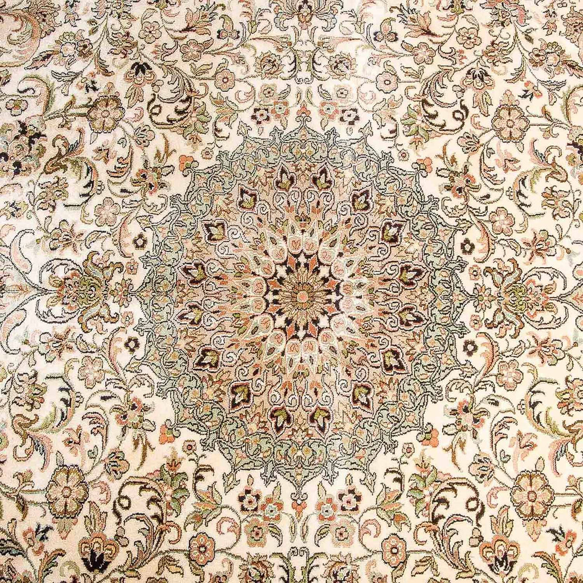 Tappeto di seta - Seta del Kashmir - 314 x 213 cm - beige