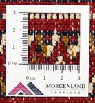 Tappeto corsia Tappeto Turkaman - 100 x 50 cm - rosso