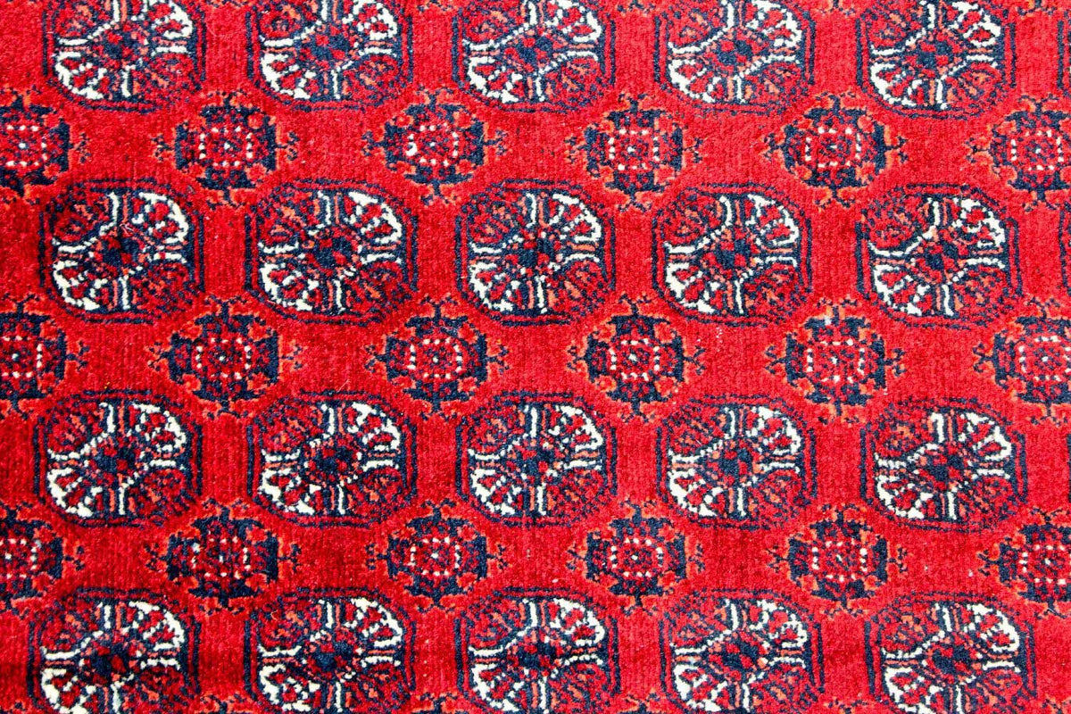 Tappeto afgano - Bukhara - 300 x 195 cm - rosso
