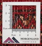 Tappeto corsia Tappeto Turkaman - 100 x 50 cm - rosso