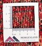 Tappeto corsia Tappeto Turkaman - 100 x 50 cm - rosso