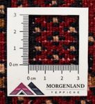 Tappeto corsia Tappeto Turkaman - 100 x 50 cm - rosso