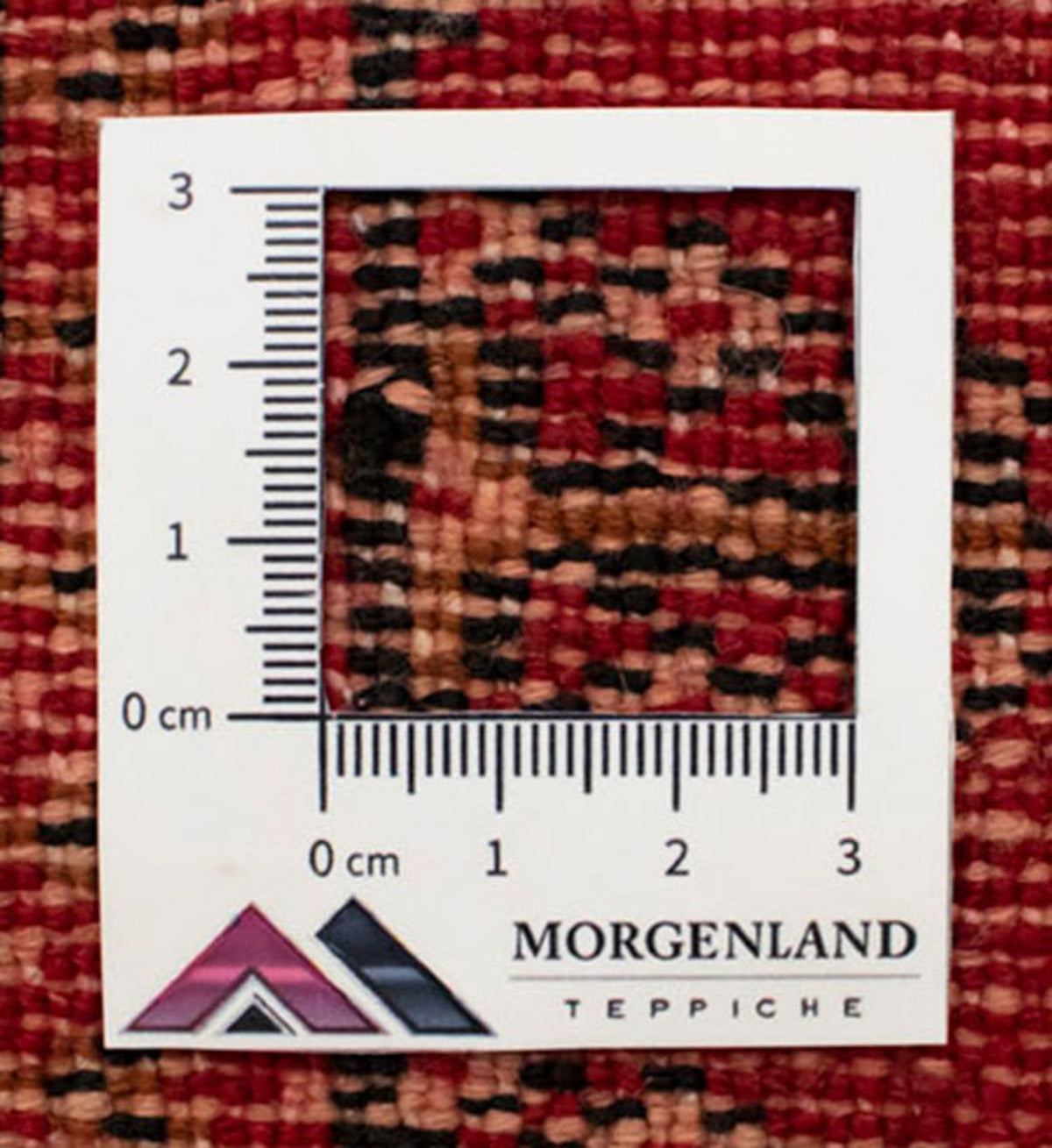 Tappeto corsia Tappeto Turkaman - 100 x 50 cm - rosso