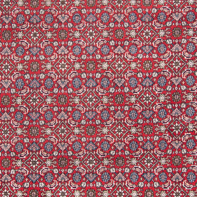 Tappeto orientale - Bidjar - Indo - 353 x 253 cm - rosso