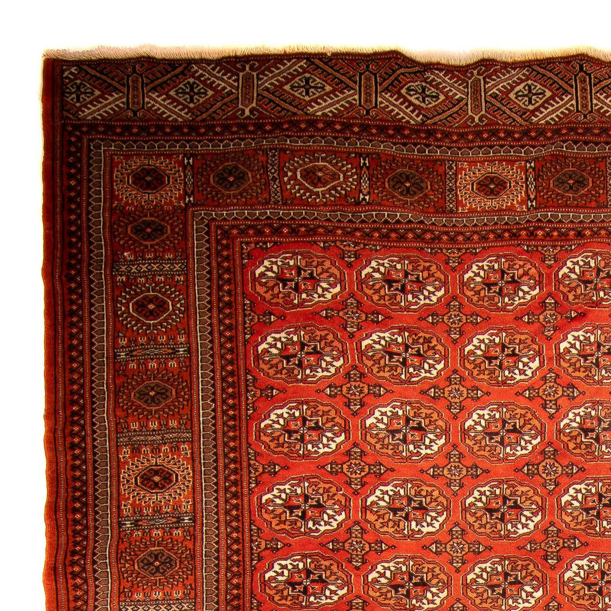 Tappeto Turkaman - 333 x 260 cm - rosso scuro