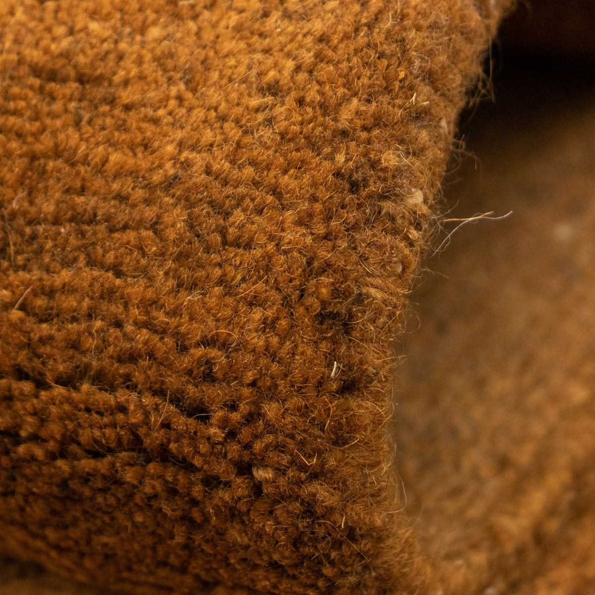 Tappeto Nepal - 340 x 248 cm - marrone