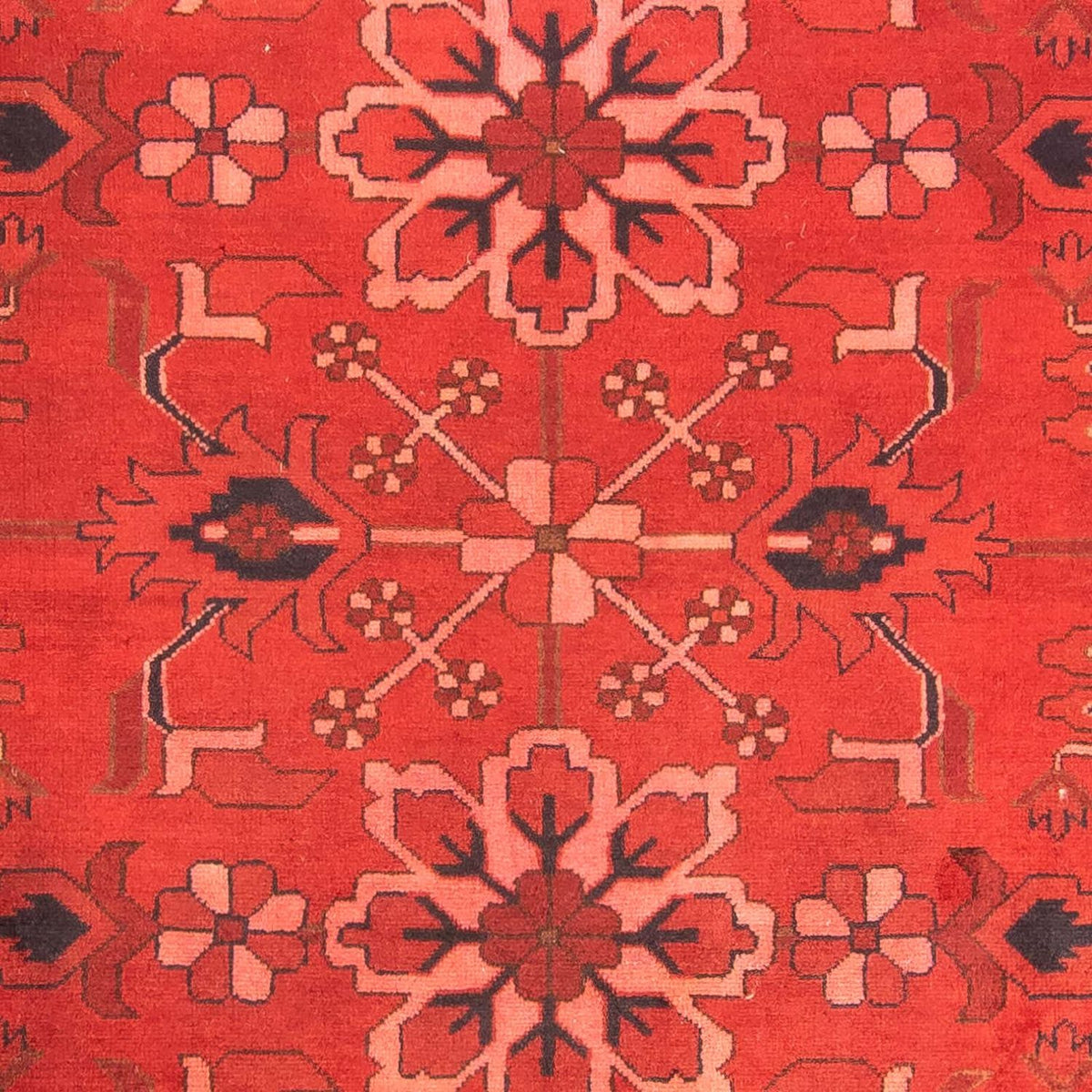 Tappeto afgano - Hatschlu - 296 x 210 cm - rosso scuro