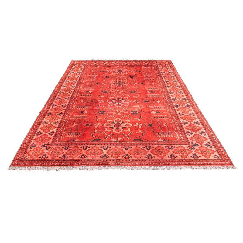 Tappeto afgano - Hatschlu - 296 x 210 cm - rosso scuro