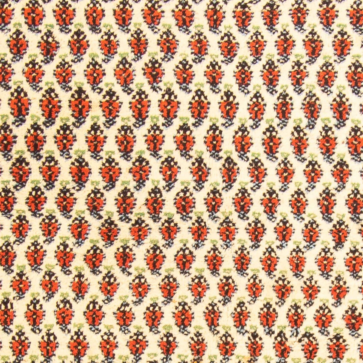 Tappeto orientale - Mir - Indus - 238 x 174 cm - beige
