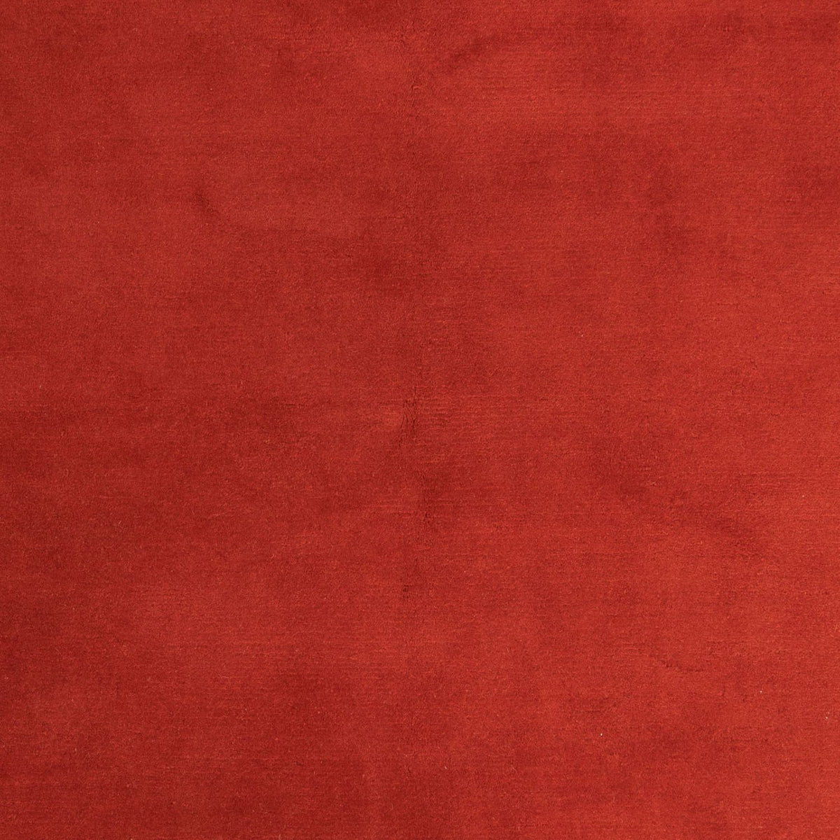 Tappeto Nepal - 293 x 205 cm - rosso scuro