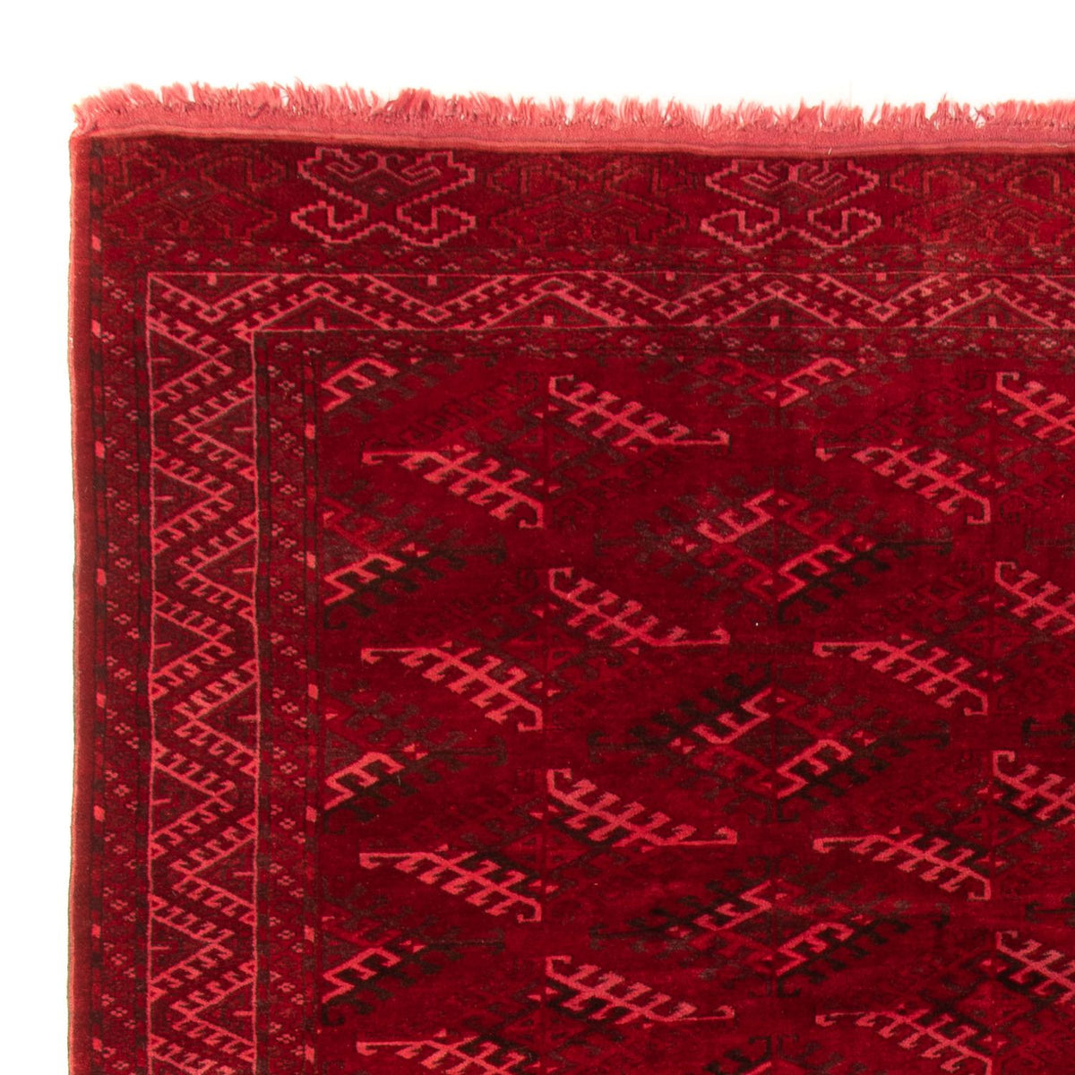 Tappeto afgano - 323 x 279 cm - rosso