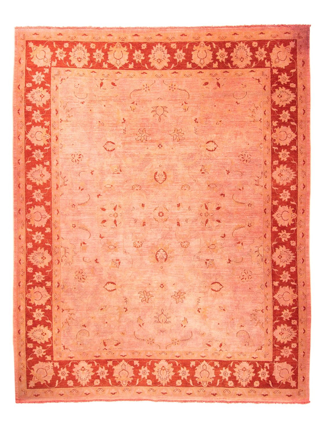 Tappeto Ziegler - 300 x 242 cm - rosso chiaro