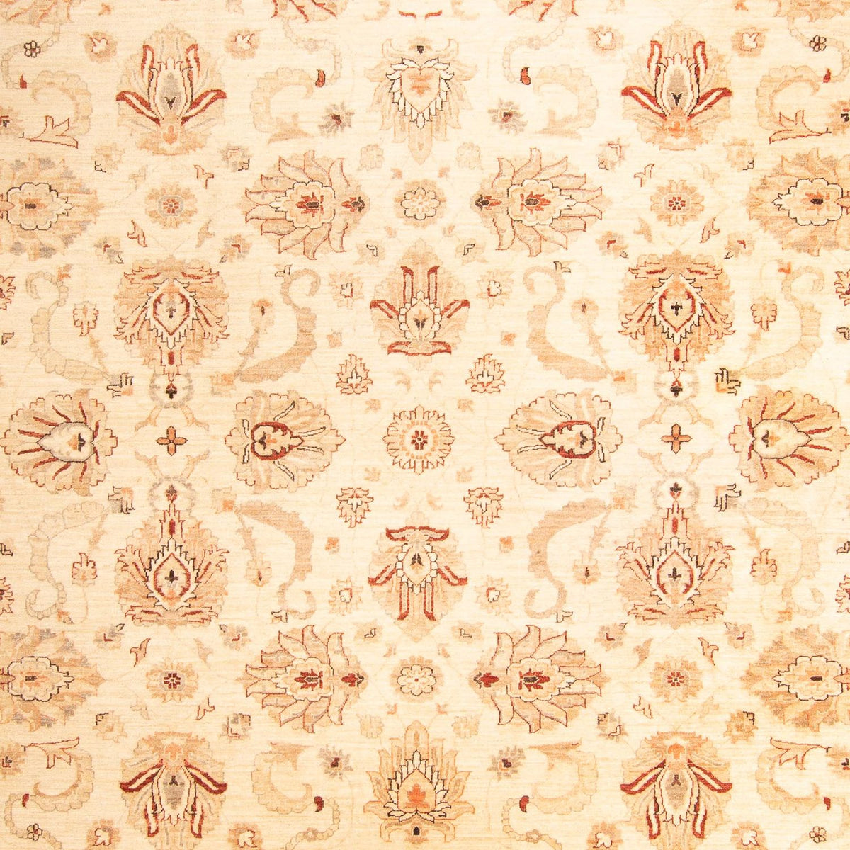 Tappeto Ziegler - 397 x 299 cm - beige
