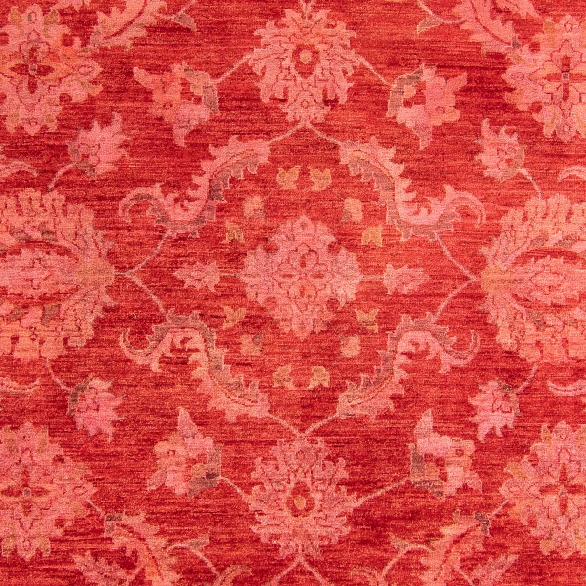 Tappeto Ziegler - 350 x 222 cm - rosso chiaro