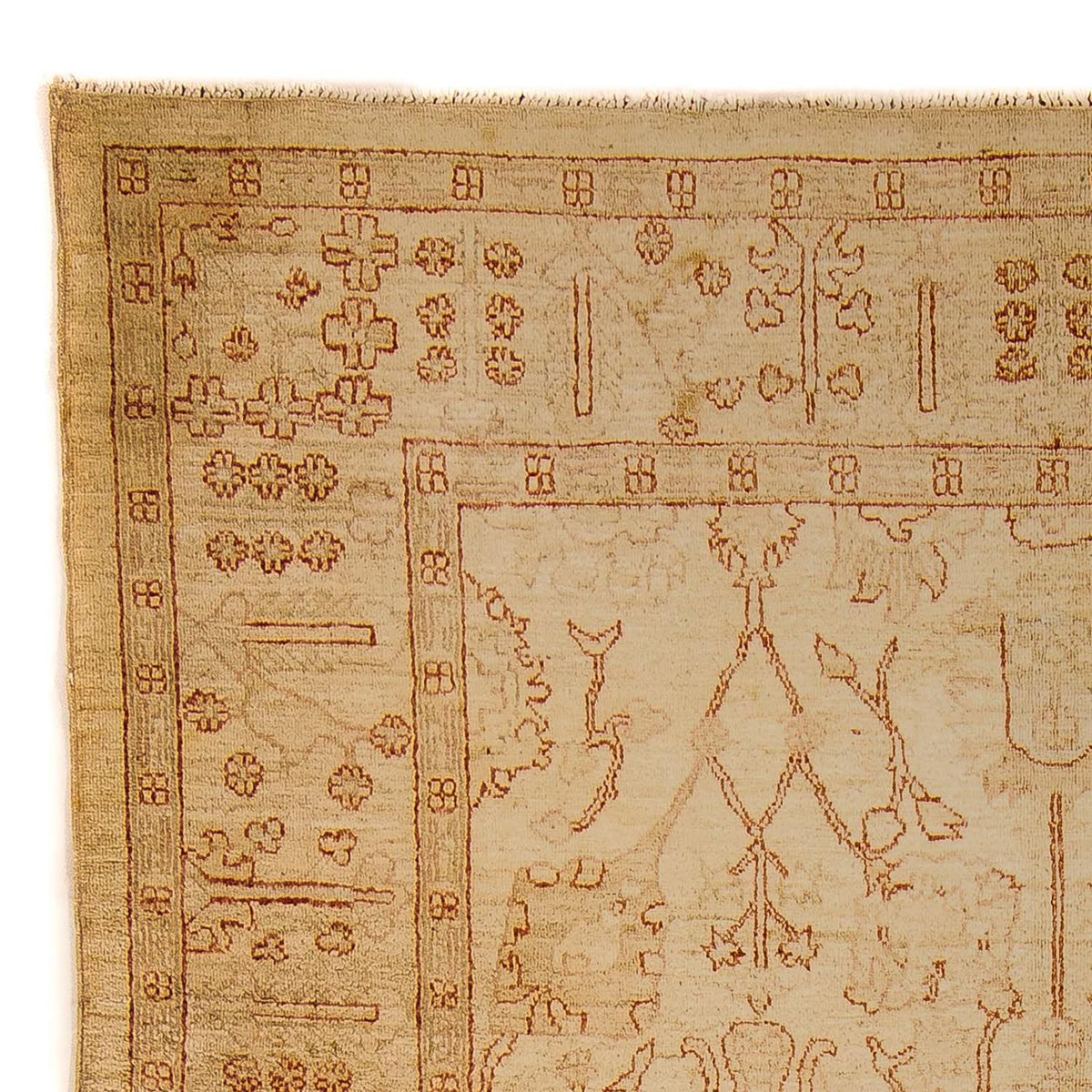 Tappeto Ziegler - 247 x 173 cm - marrone chiaro