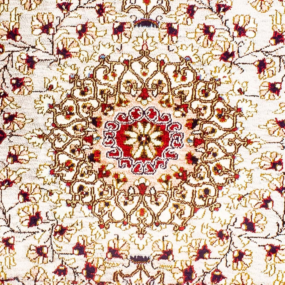 Tappeto di seta - Ghom seta - Premio - 80 x 59 cm - beige