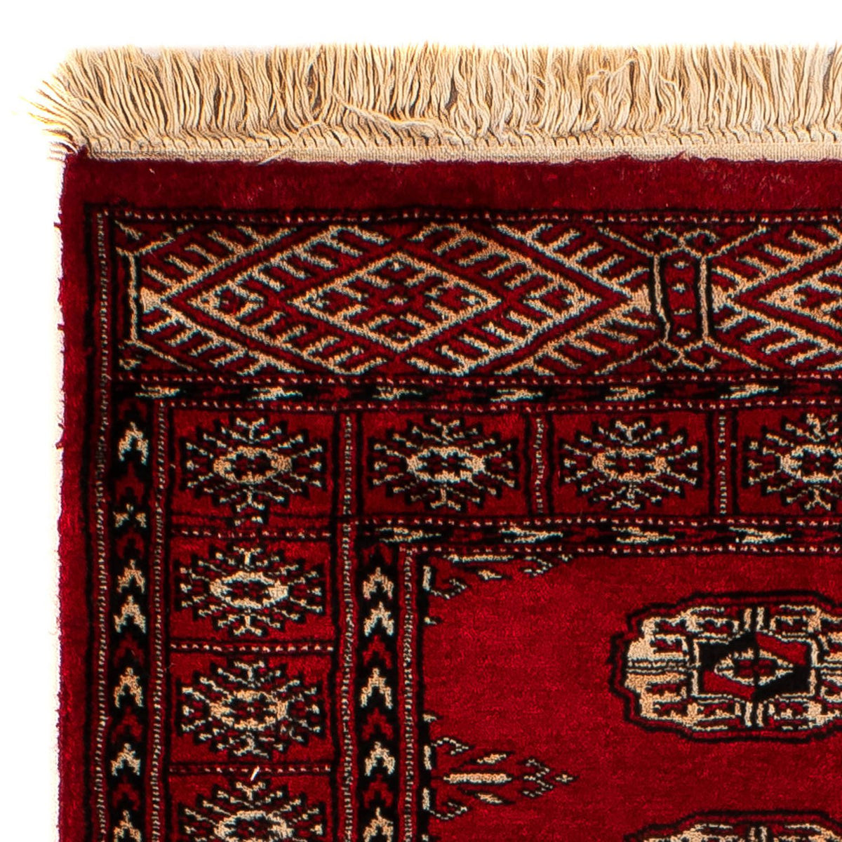 Tappeto Pakistani - 115 x 78 cm - rosso scuro