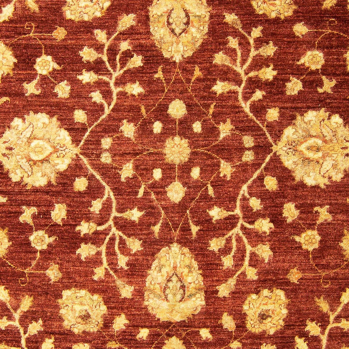 Tappeto Ziegler - 270 x 195 cm - marrone