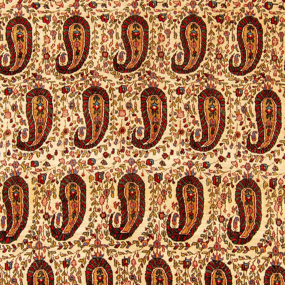 Tappeto Persero - Classico - 329 x 219 cm - beige