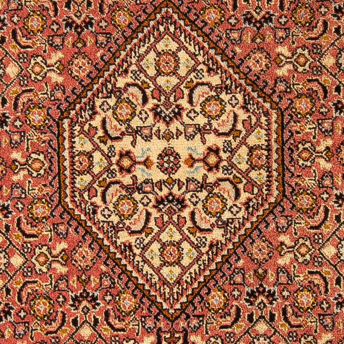 Tappeto Persero - Bidjar - 143 x 88 cm - marrone chiaro