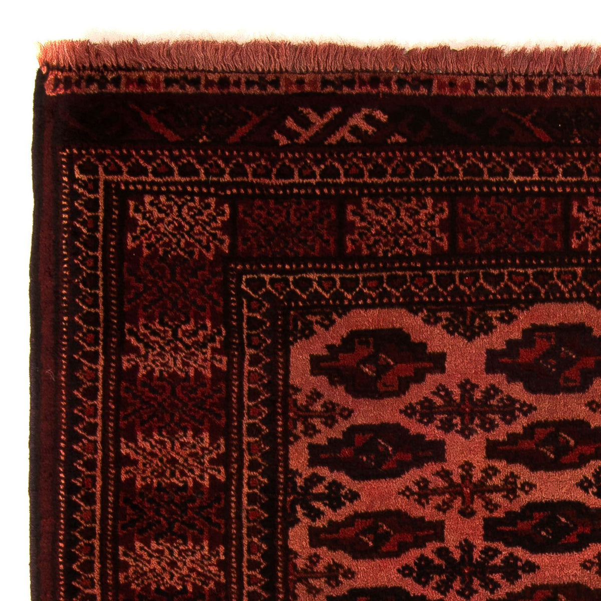 Tappeto afgano - Bukhara - 150 x 103 cm - rosso scuro