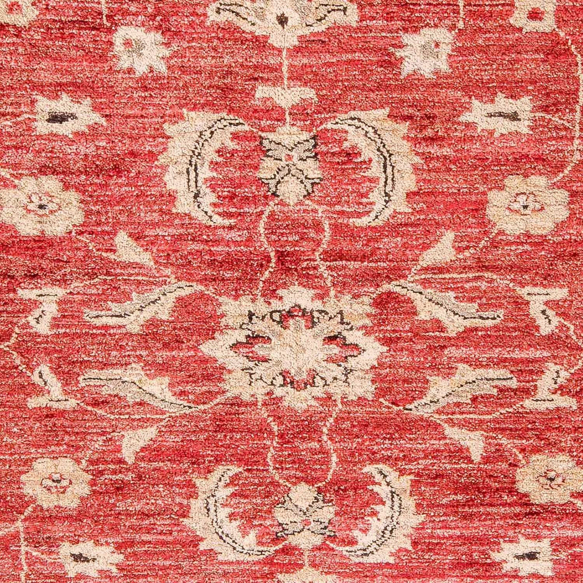 Tappeto Ziegler - 327 x 239 cm - rosso