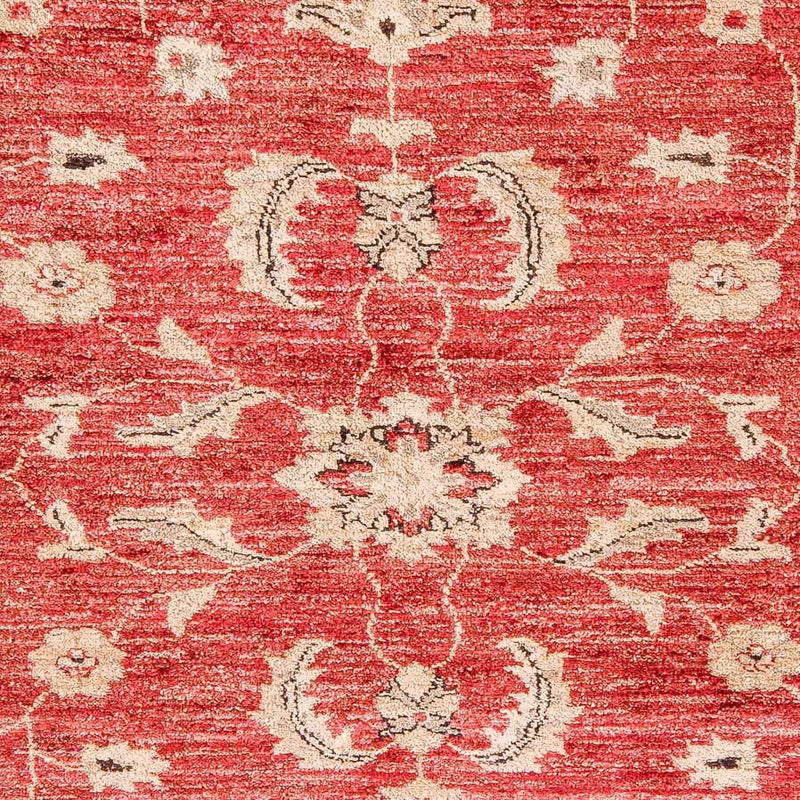 Tappeto Ziegler - 327 x 239 cm - rosso
