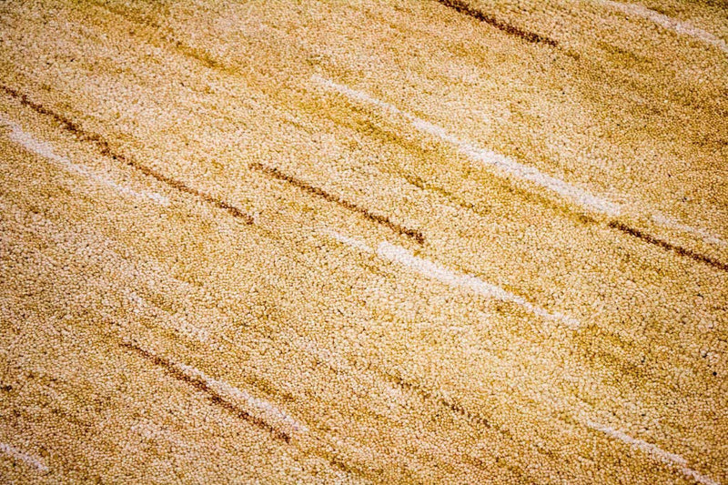 Tappeto Gabbeh - Indus - 242 x 150 cm - multicolore