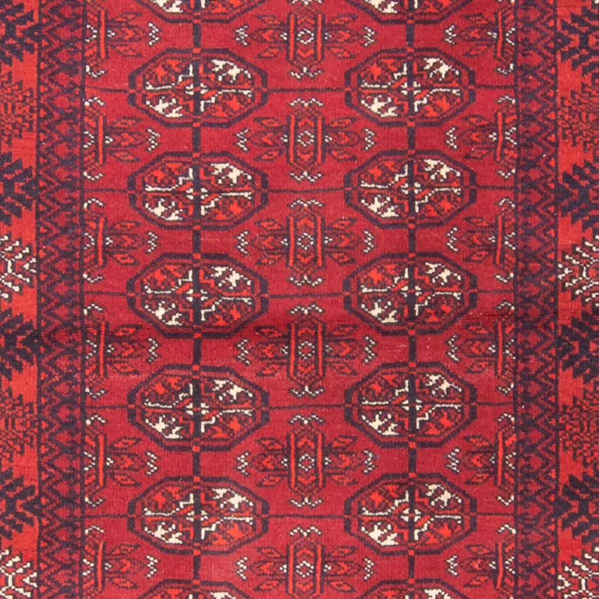 Tappeto corsia Tappeto Turkaman - 194 x 74 cm - rosso