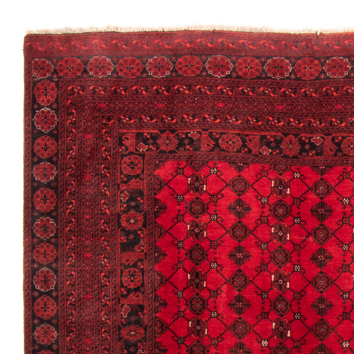 Tappeto Turkaman - 257 x 178 cm - rosso