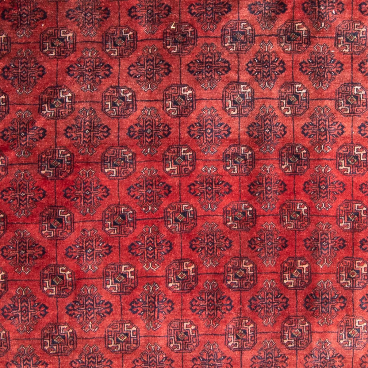 Tappeto Turkaman - 305 x 202 cm - rosso
