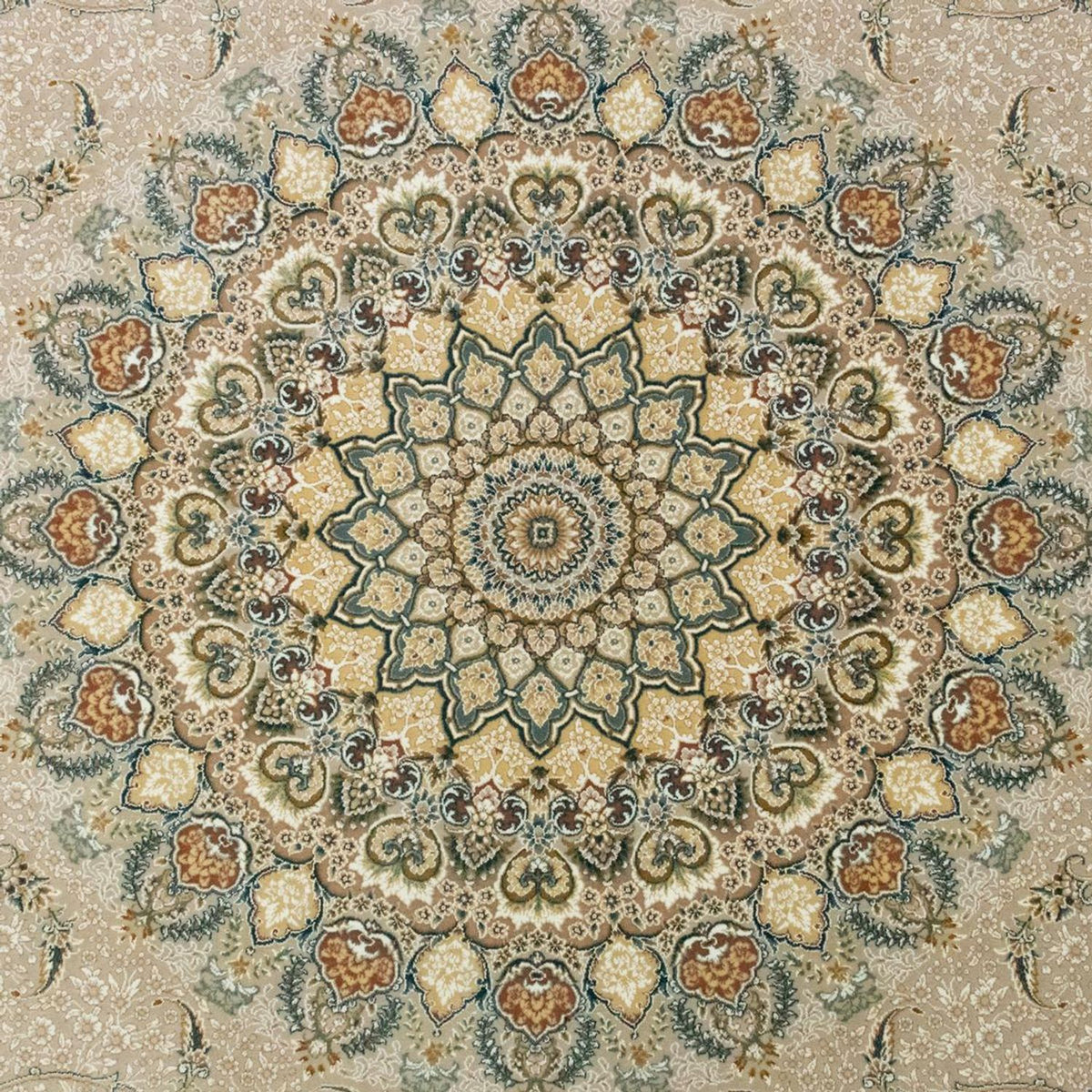 CR-G122-12-225x150O