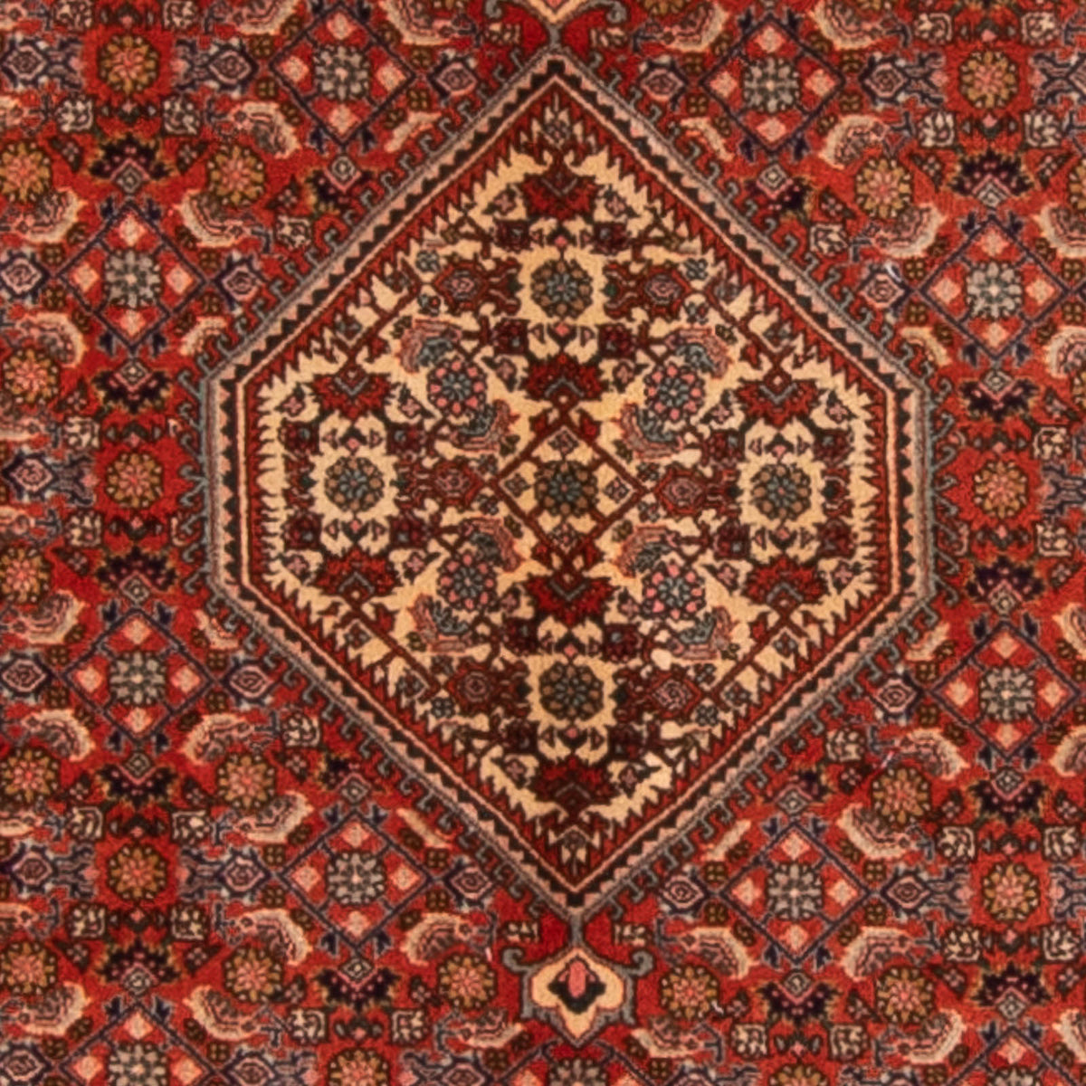 Tappeto Persero - Bidjar - 168 x 116 cm - rosso