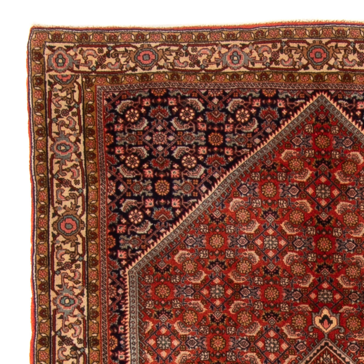Tappeto Persero - Bidjar - 168 x 116 cm - rosso