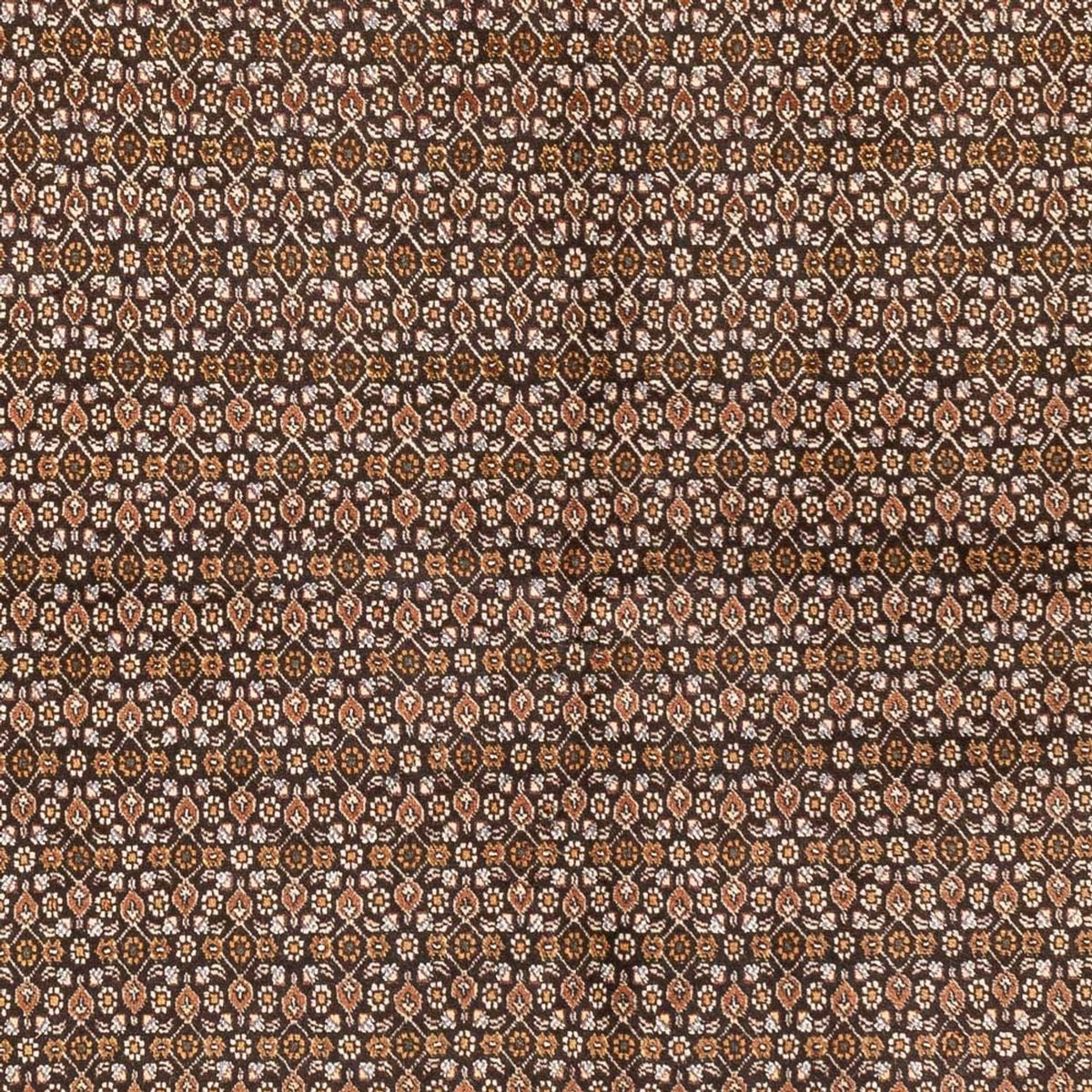 Tappeto Persero - Tabriz - Reale - 195 x 154 cm - beige scuro