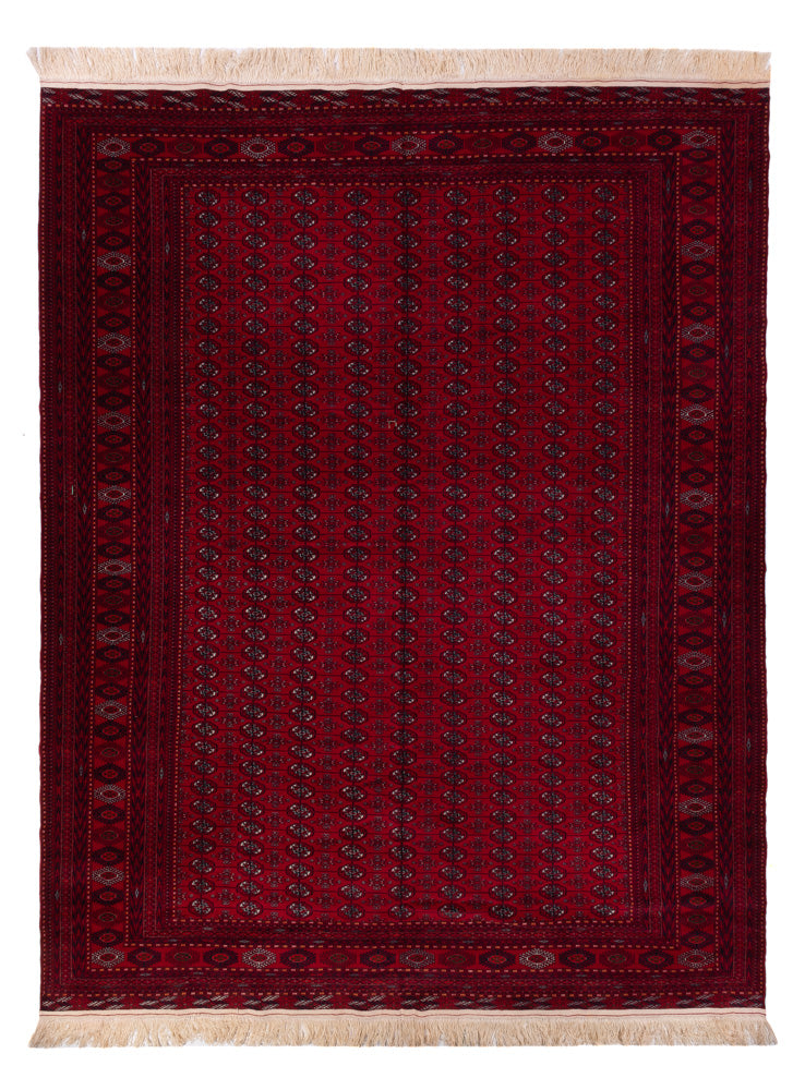 Tappeto afgano - Bukhara - 390 x 296 cm - rosso scuro