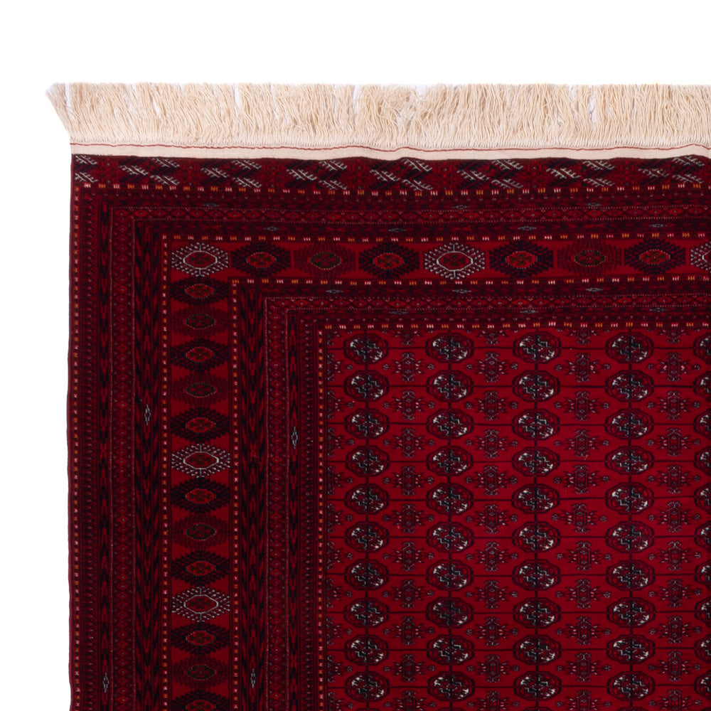 Tappeto afgano - Bukhara - 390 x 296 cm - rosso scuro