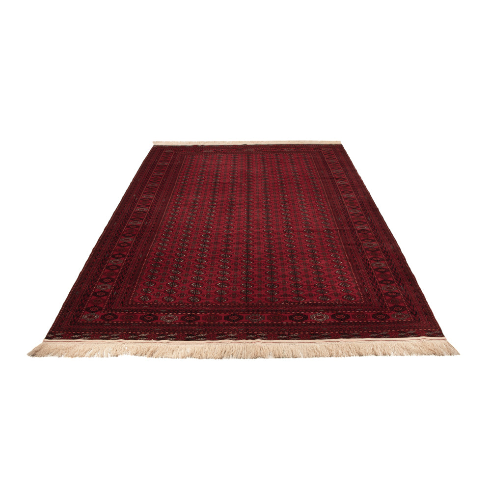 Tappeto afgano - Bukhara - 390 x 296 cm - rosso scuro