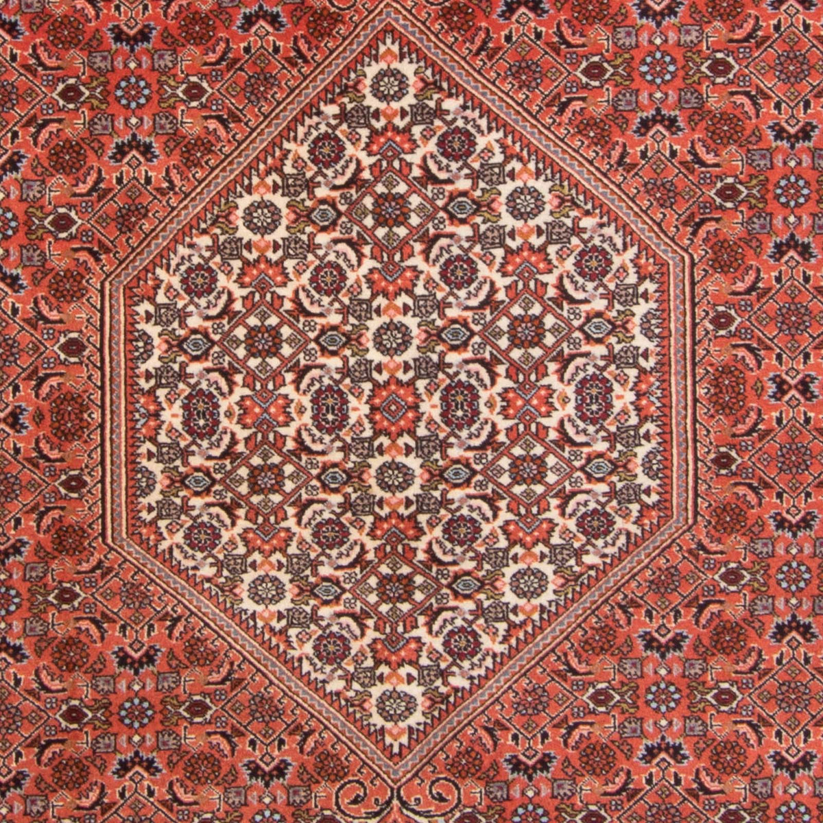 Tappeto Persero - Bidjar - 295 x 195 cm - rosso