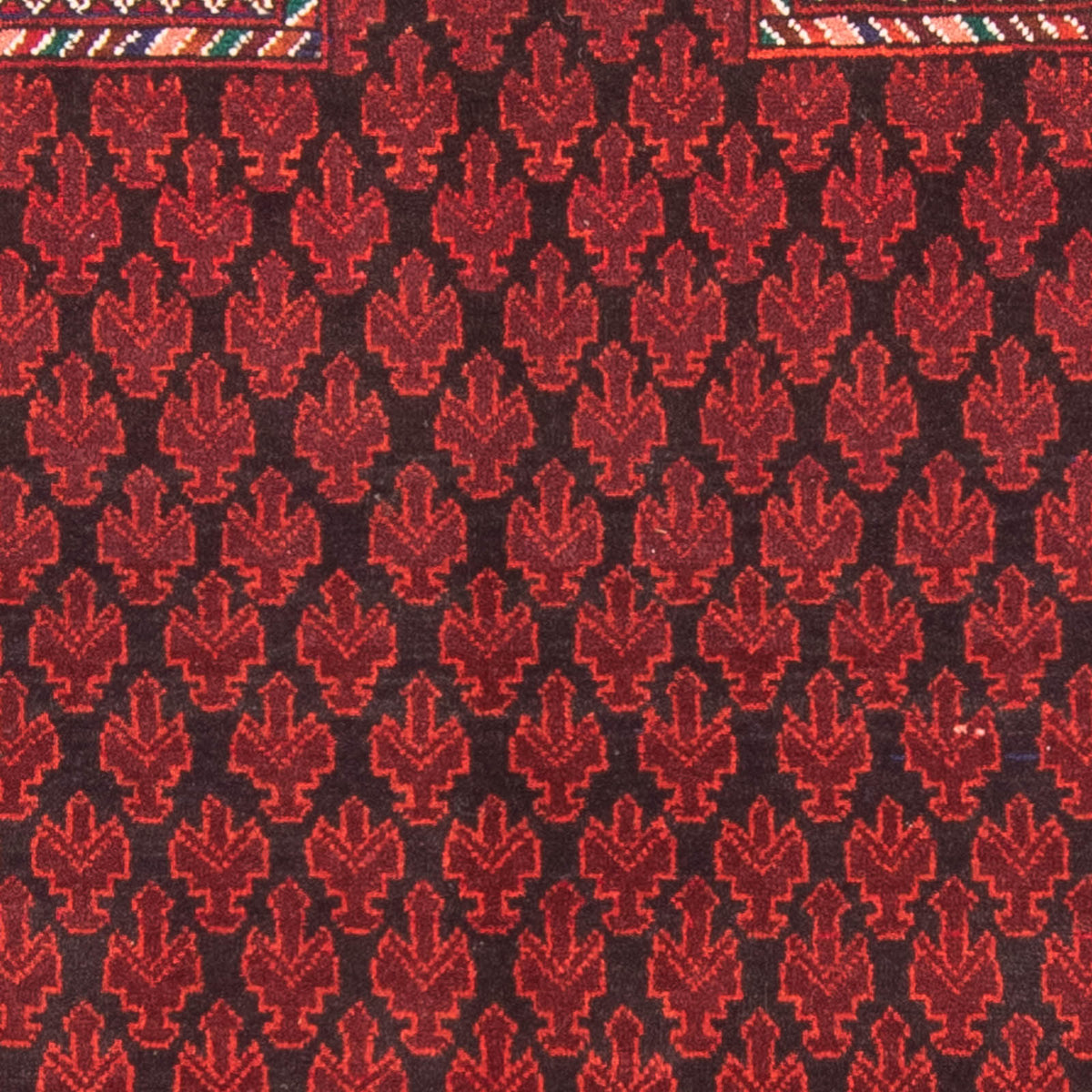 Tappeto Belutsch - Tappeto di preghiera - 155 x 103 cm - rosso