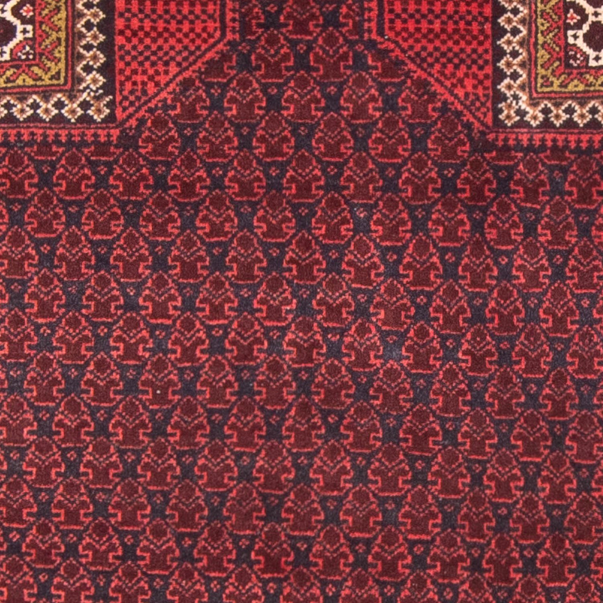 Tappeto Belutsch - Tappeto di preghiera - 140 x 91 cm - blu scuro