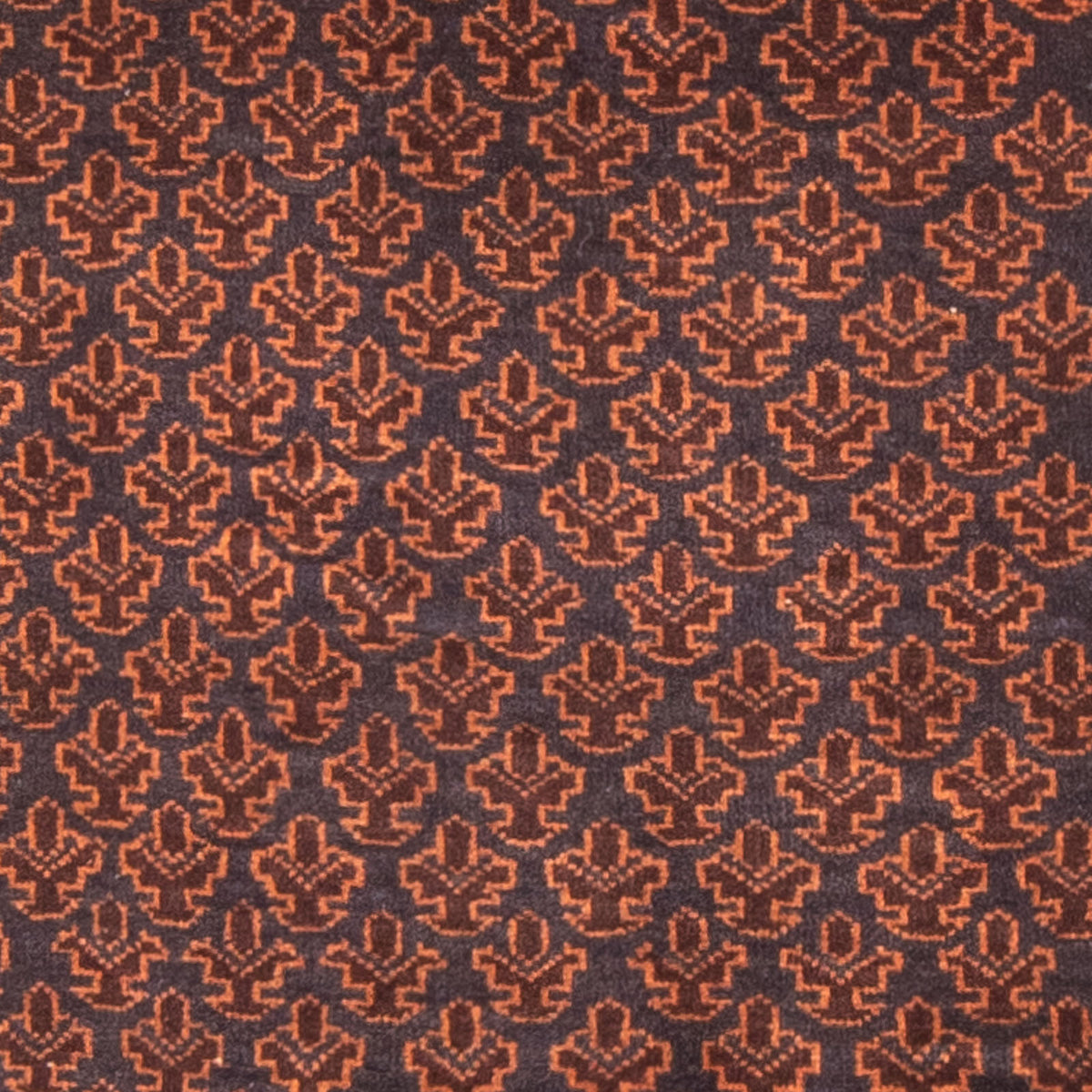 Tappeto Belutsch - Tappeto di preghiera - 147 x 91 cm - blu scuro
